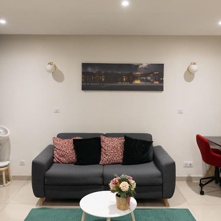 Elegant Et Tres Spacieux, Mon Studio Vous Seduira! Metz Eksteriør billede